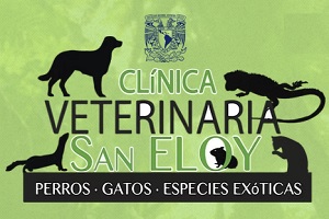 la veterinaria Clínica Veterinaria San Eloy