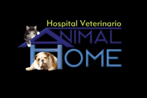 De las clínicas veterinarias en México, el Hospital Veterinario Animal Home