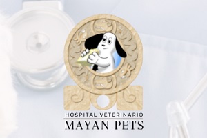 la veterinaria Hospital Veterinario Mayan Pets