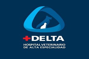 la veterinaria Hospital Veterinario de Alta Especialidad DELTA