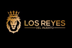 clínicas de injerto de cabello - Los Reyes del Injerto de las mejores clínicas de injerto de cabello en México