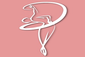 logo de la escuela de danza Estudio de Danza del Sur
