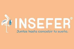logo de INSEFER
