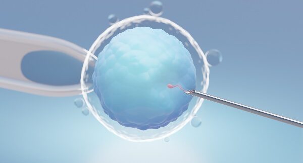 uno de los centros de fecundación asistida, muestra el proceso de fecundación in vitro a nivel microscópico