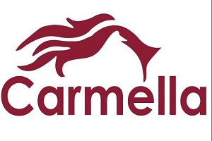 logo de la tienda Pelucas Carmella
