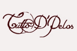 una de las mejores tiendas de pelucas en México, logo de la tienda Tutto D'Pelos