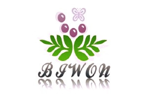 uno de los restaurantes coreanos en México, logo del restaurante Biwon