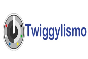 una de las mejores escuelas de belleza de México, logo de Twiggylismo