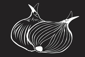 logo de VEGuerrero
