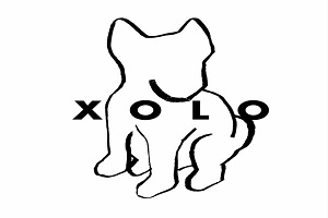 Xolo Vintage