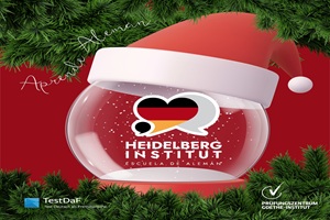 Heidelberg Institut