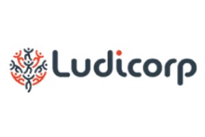 Ludicorp