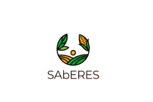 mejores negocios de cursos de tecnología - logo de Saberes MX