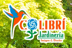 Colibri