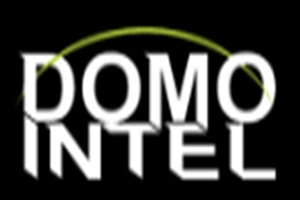 Domointel