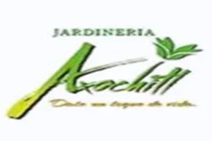 Jardinería Axochitl