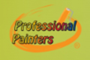 Professional Painters