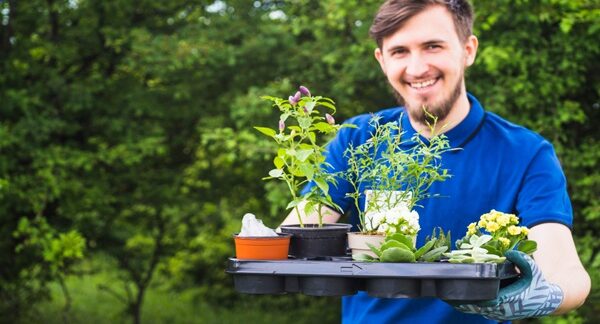 negocios de jardinería