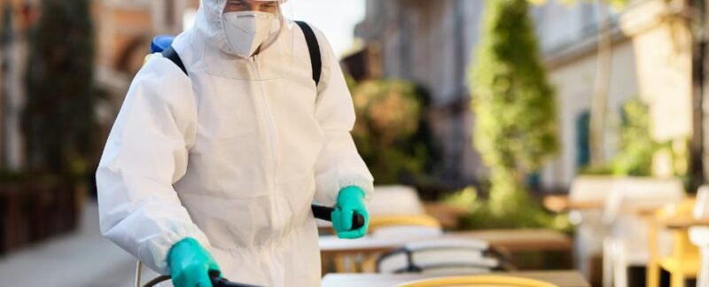Los 10 mejores negocios de control de plagas en México