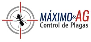 Máximo & AG