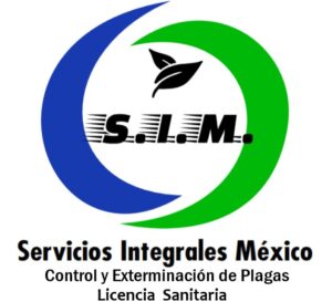 Servicios Integrales México