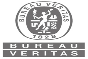 Bureau Veritas México empresas de certificaciones profesionales en México