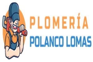 Plomería Polanco Lomas