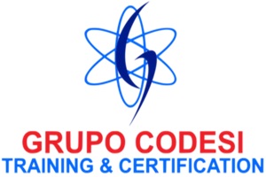 Grupo Codesi empresas de enseñanza de programación en México